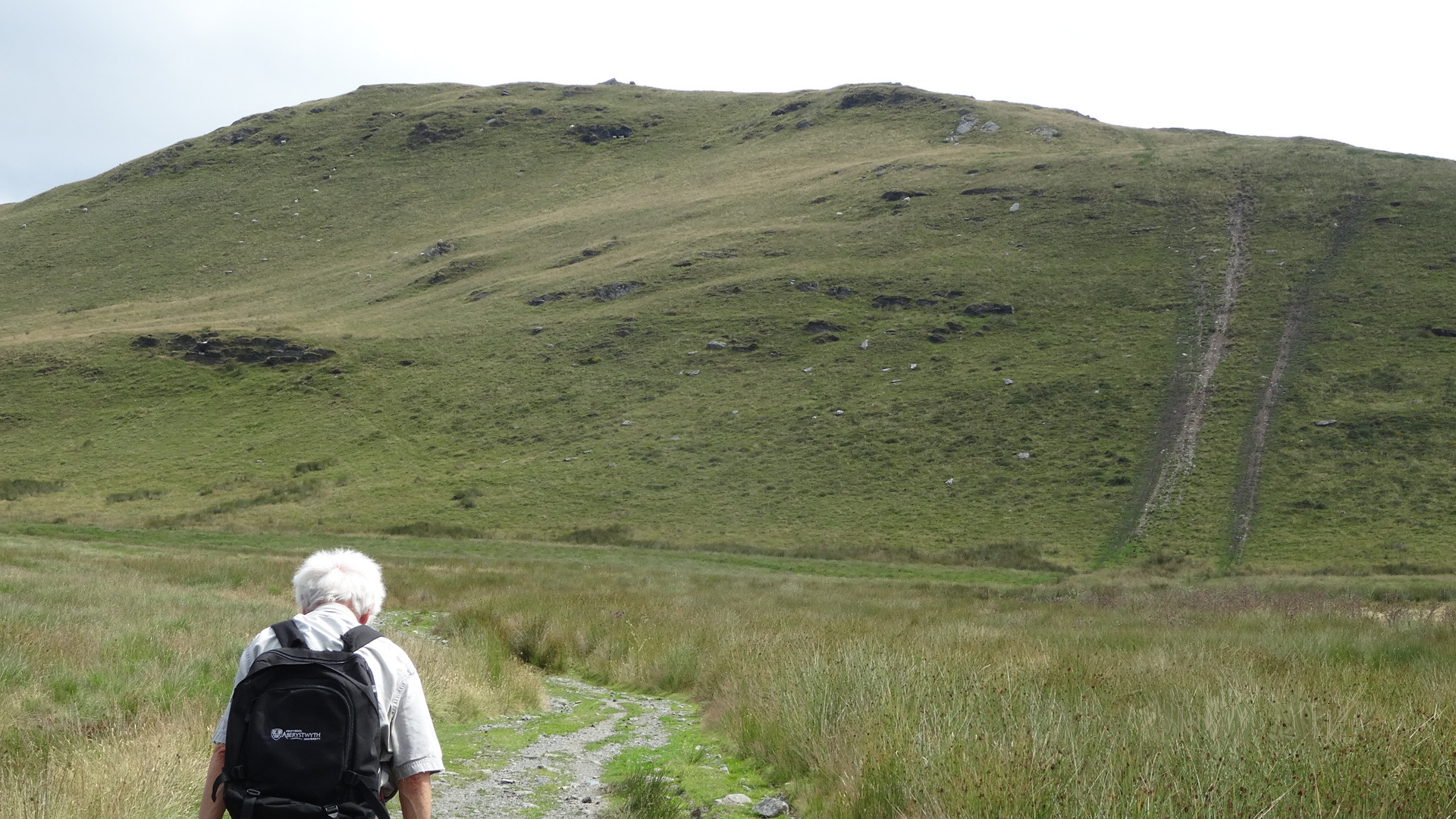 RachelSeabrook.net | Wild Walking | Disgwylfa-Fawr | pic06